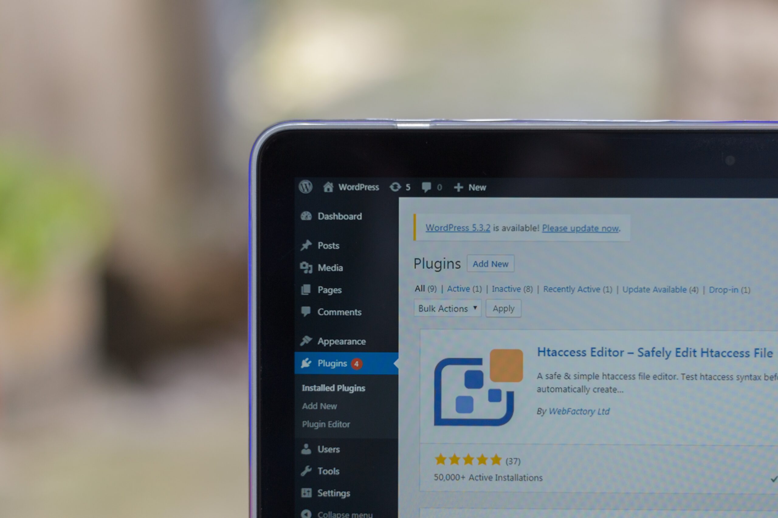 WordPress Websites